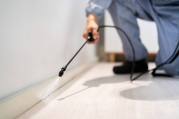 Best Local Pest Control Services  in Four Oaks, NC